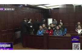 红山为什么选择专业追讨公司来处理您的债务纠纷？