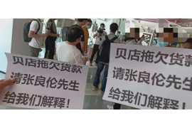 红山红山的要账公司在催收过程中的策略和技巧有哪些？